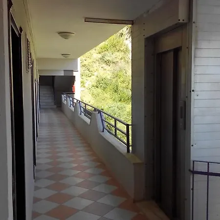 Mor Kusadası