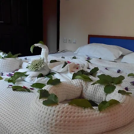 Ξενοδοχείο Mor 3*